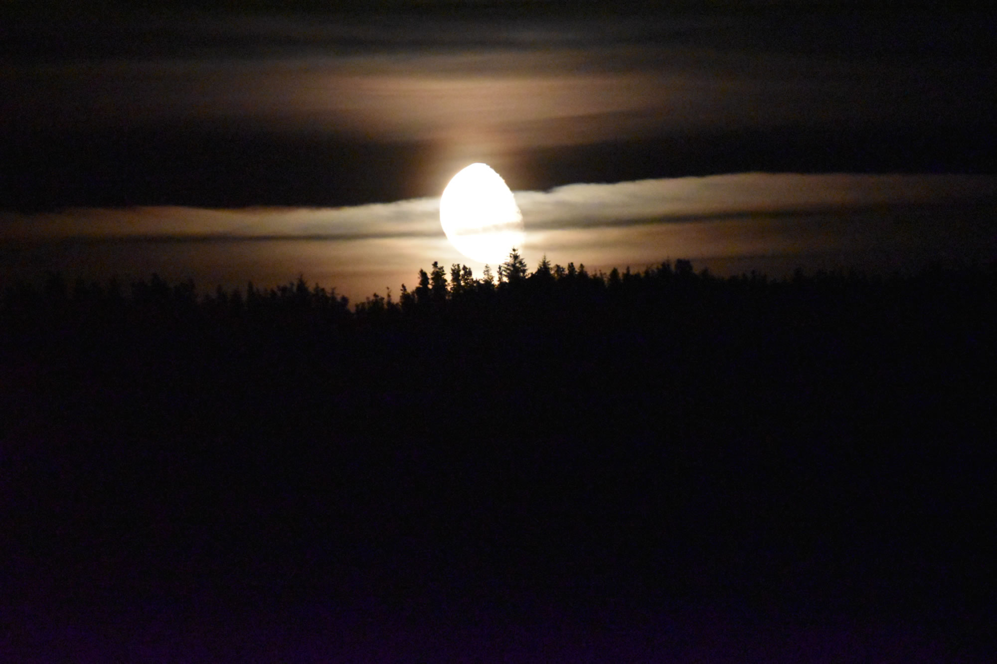 …Magical Moon Rise…