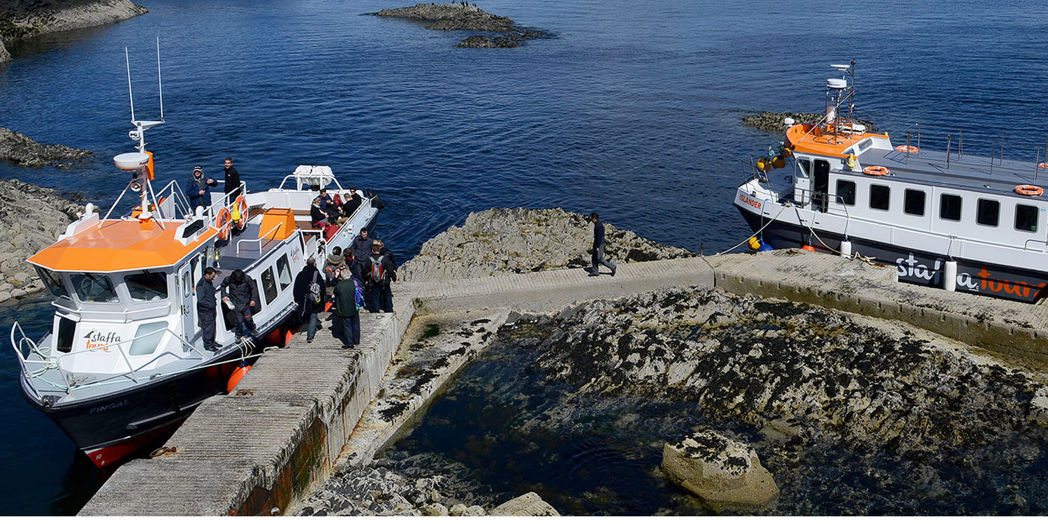 staffa tours isle of mull